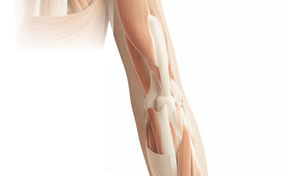 Shoulder and Arm Pain and Self Help Tips for Pain Relief