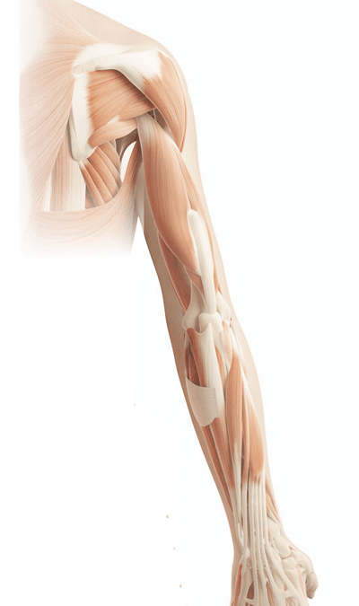 Shoulder and Arm Pain and Self Help Tips for Pain Relief